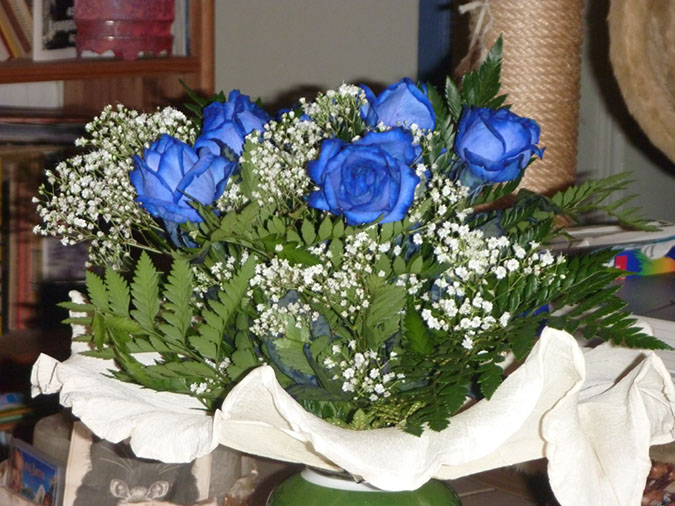 P1010550